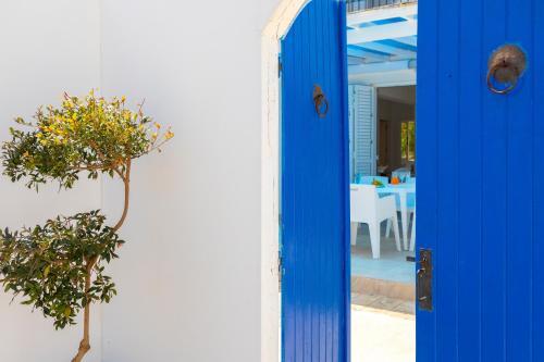 Протарас: Fig Tree Bay Villa 4