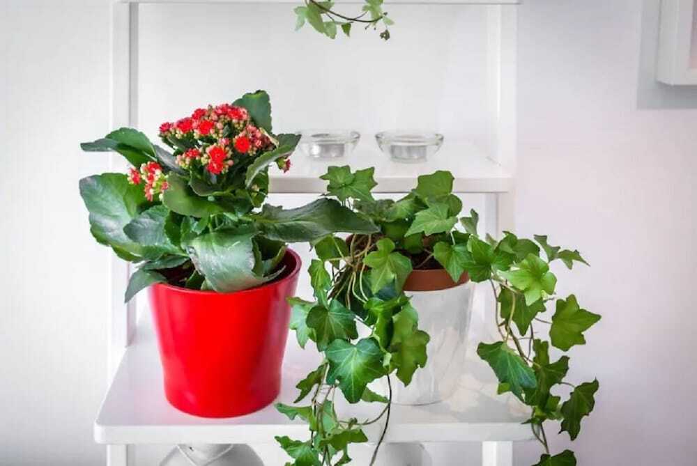 Лимассол: Marina's Flat Limassol