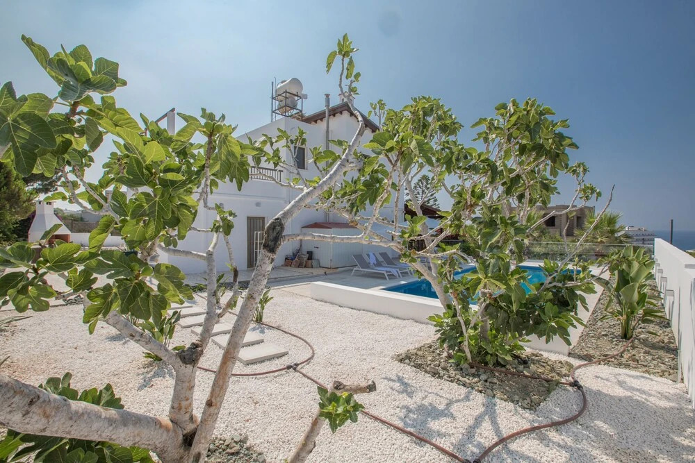 Айя-Напа: Villa Rosie, Modern 4bdr Ayia Napa Villa With Pool