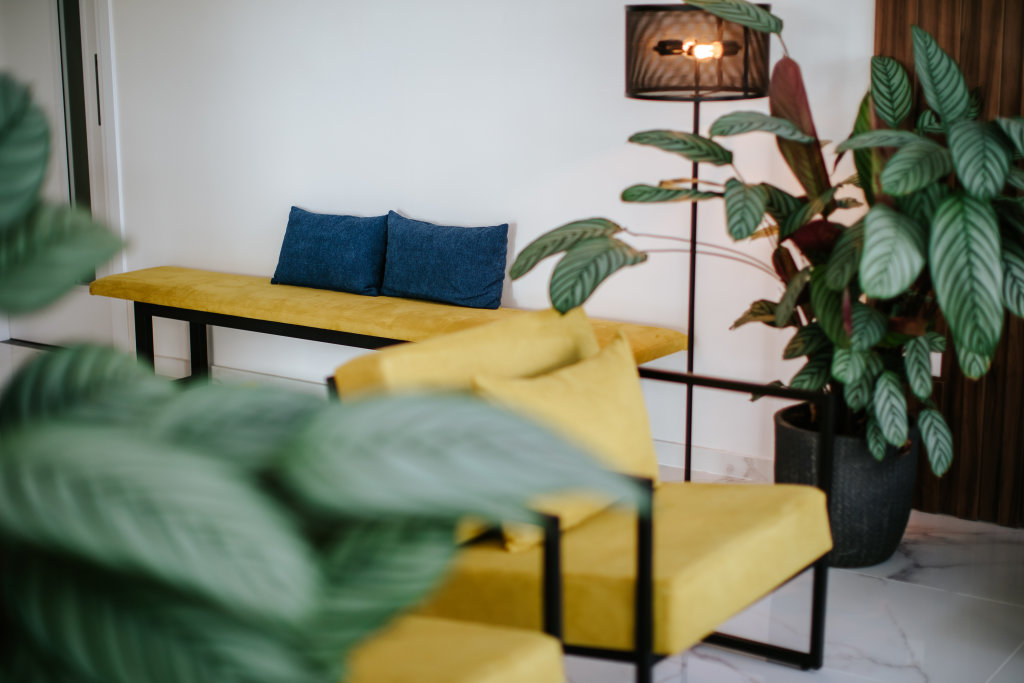 Айя-Напа: Cosmo Napa Hotel