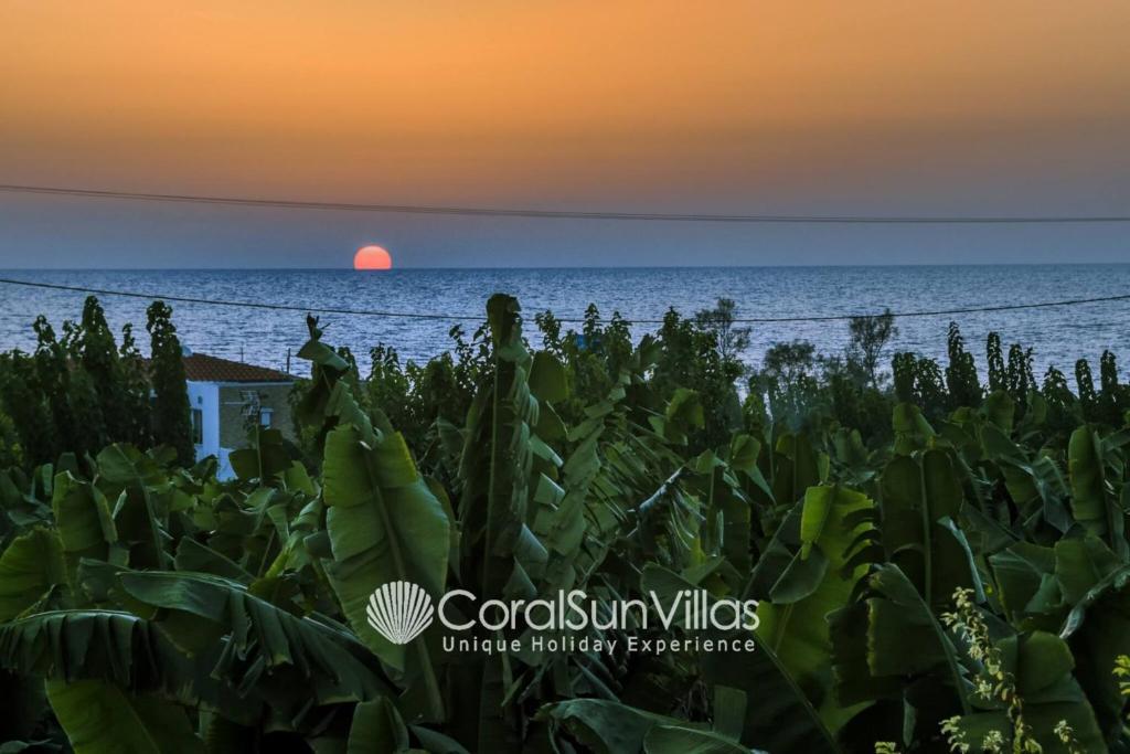 Пейя: Impressive Villa Exclusive Sea Caves Walk to Taverns Sleeps 11 Ref 507