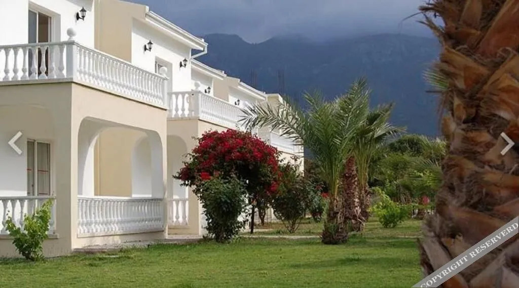 Кирения: Mv Hotel