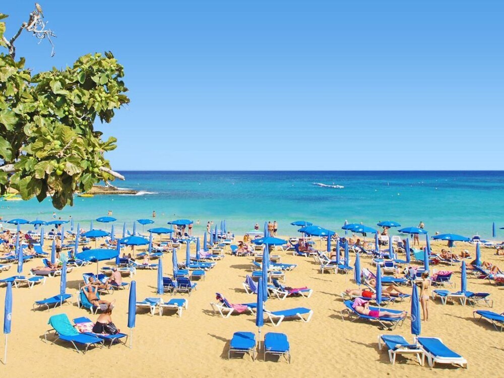 Паралимни: Malvina Paralimni in Paralimni