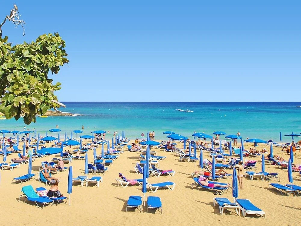 Паралимни: Abdera Paralimni in Paralimni