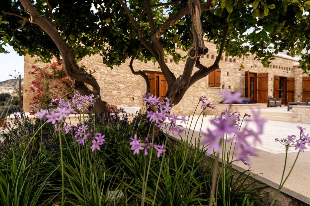 Стени: Harma Traditional Boutique Suites