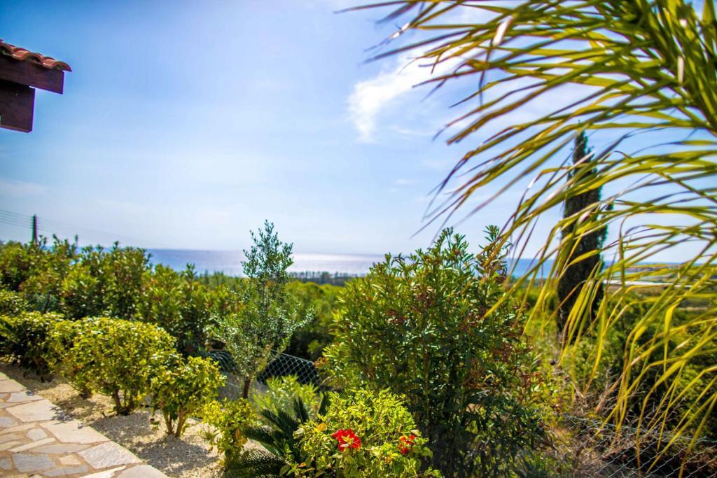 Пейя: Villa Olivia, Coral Bay