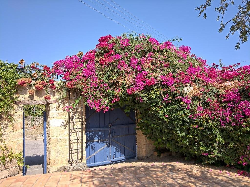 carousel image 0
