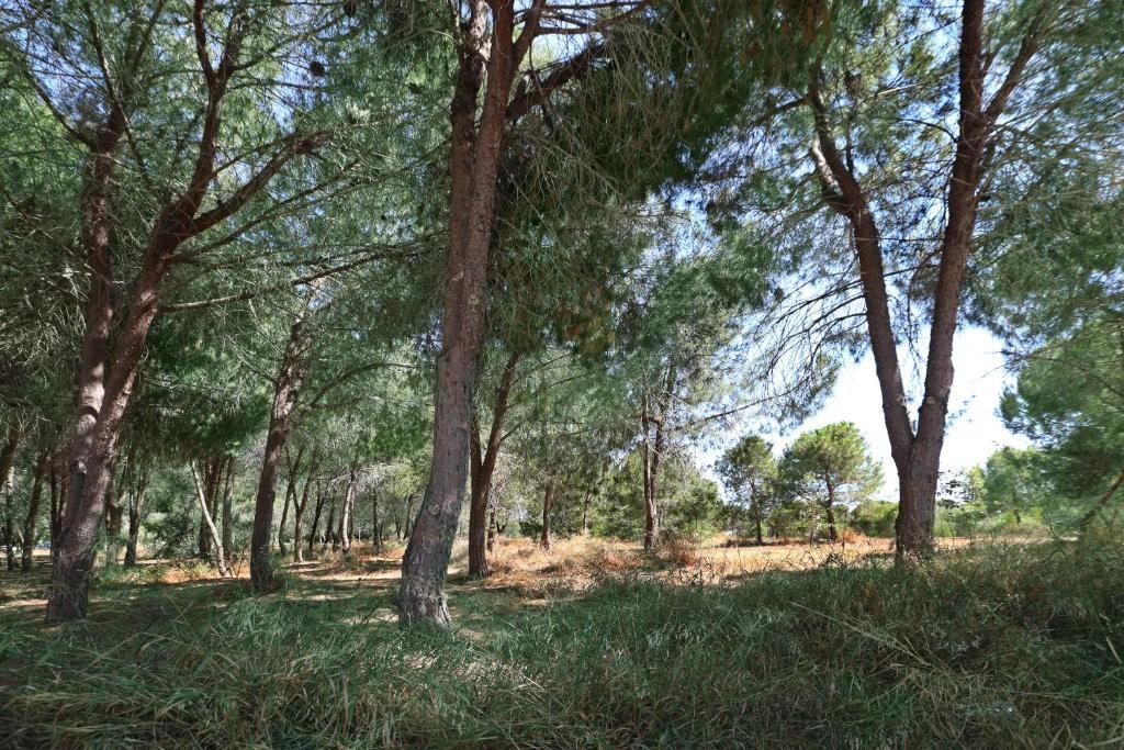 Ларнака: Cozy Holiday Apartment In Larnaca Near Foinikoudes