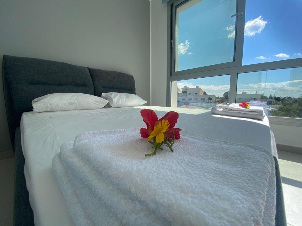Айя-Напа: Modern 3 bedroom villa near Nissi Beach!