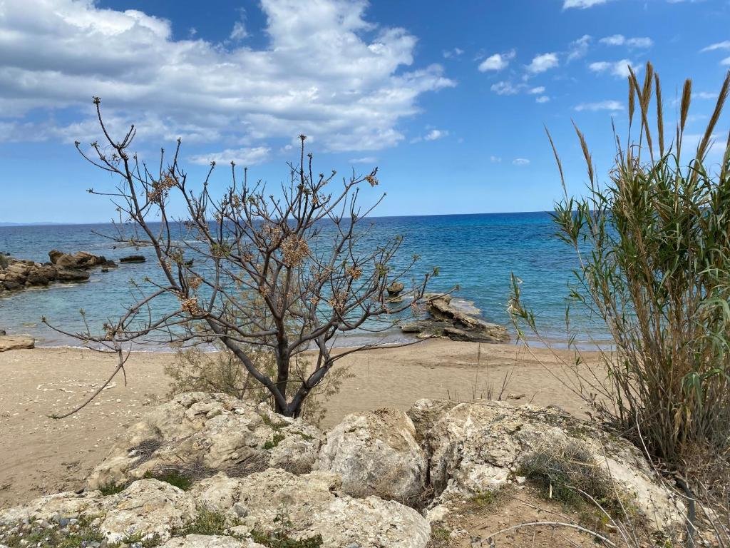Паралимни: Great Kings Resort, Kapparis, Cyprus - Self Catering Apartment, Sleeps 6
