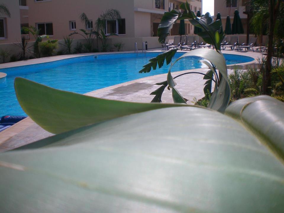 103 ELEGANT 2 bed apartment with free Wifi, AC, pool & gym! — фото 5