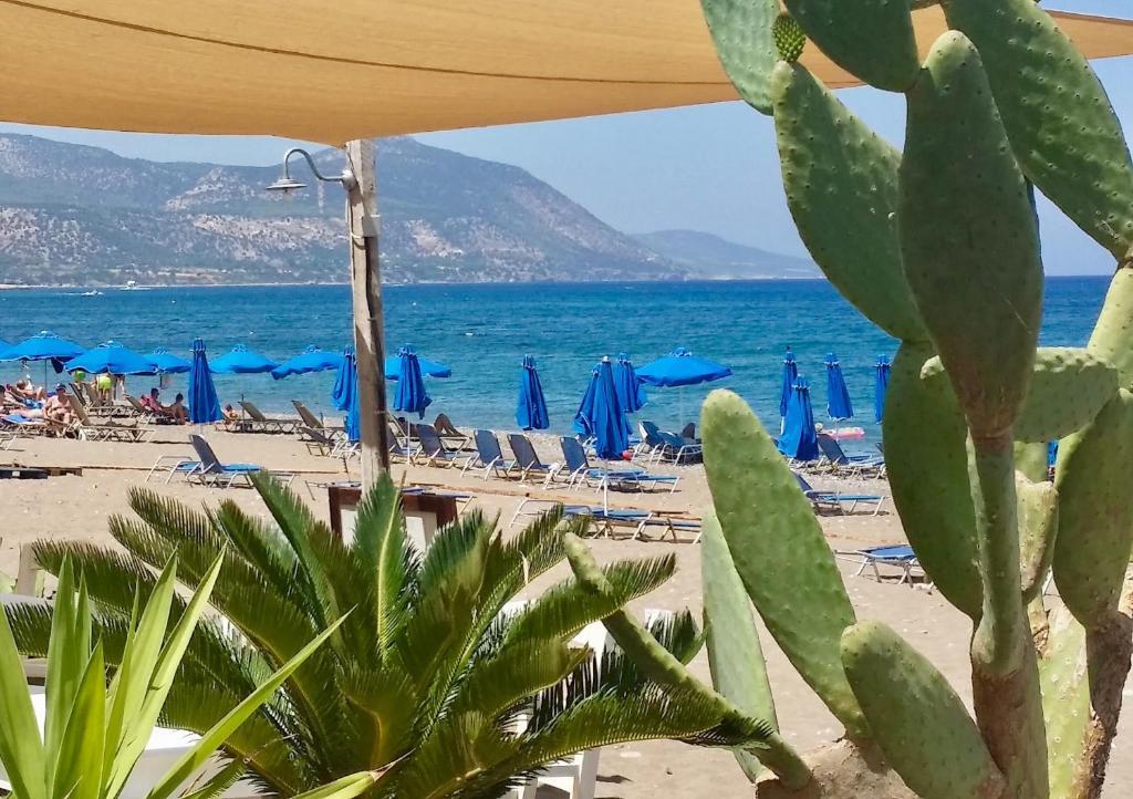 Стени: Unique private villa, sea views, total privacy, 25 mins from Paphos
