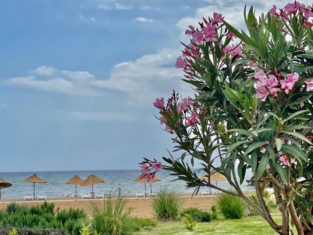 Бафра: Relaxing Studio by the Sea