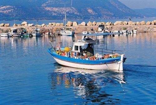 Айя-Напа: The Ultimate 5 Star Holiday Villa in Sotira with Private Pool And Close To the Beach, Sotira Villa 1299