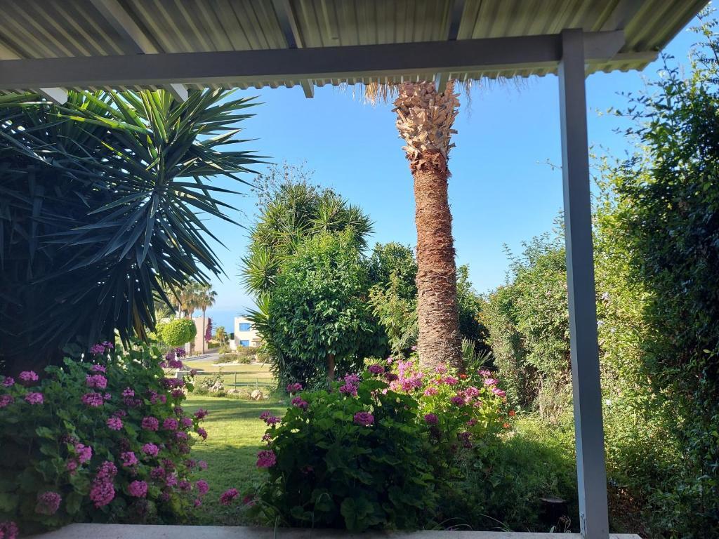 Пейя: CORAL BAY suite Cyprus