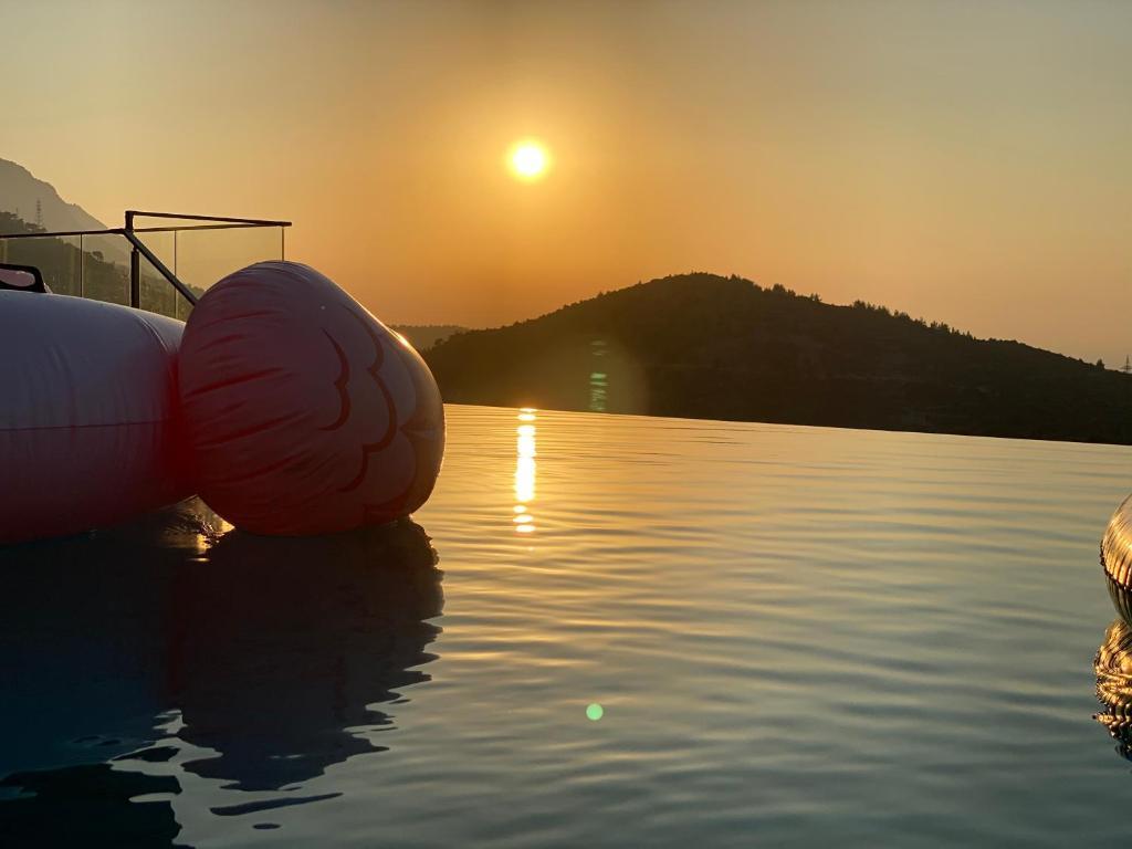 Алсанджак: Chardonnay Guest Studio Rooms with Great view for nature lovers