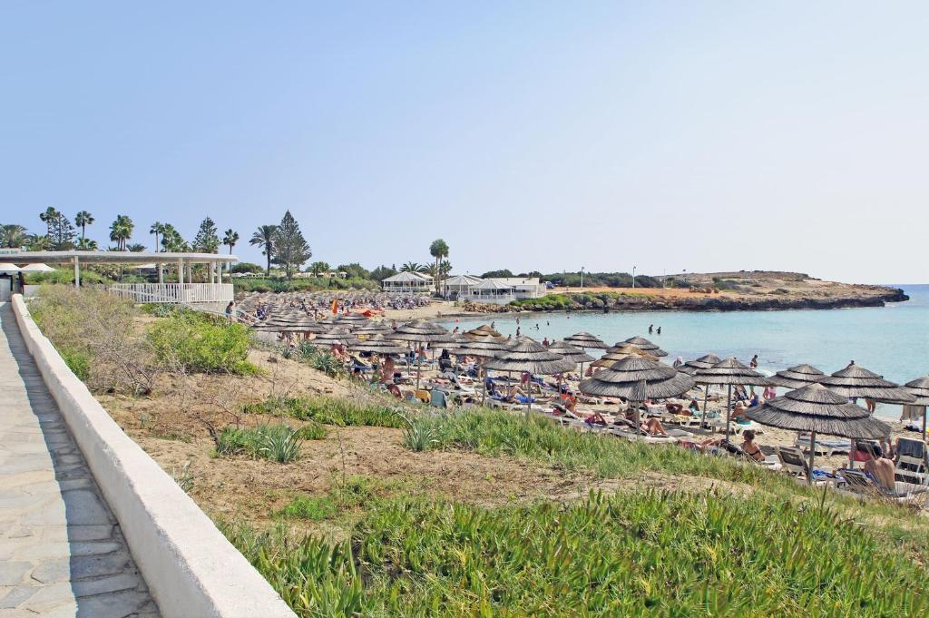Айя-Напа: Villa Paradisia