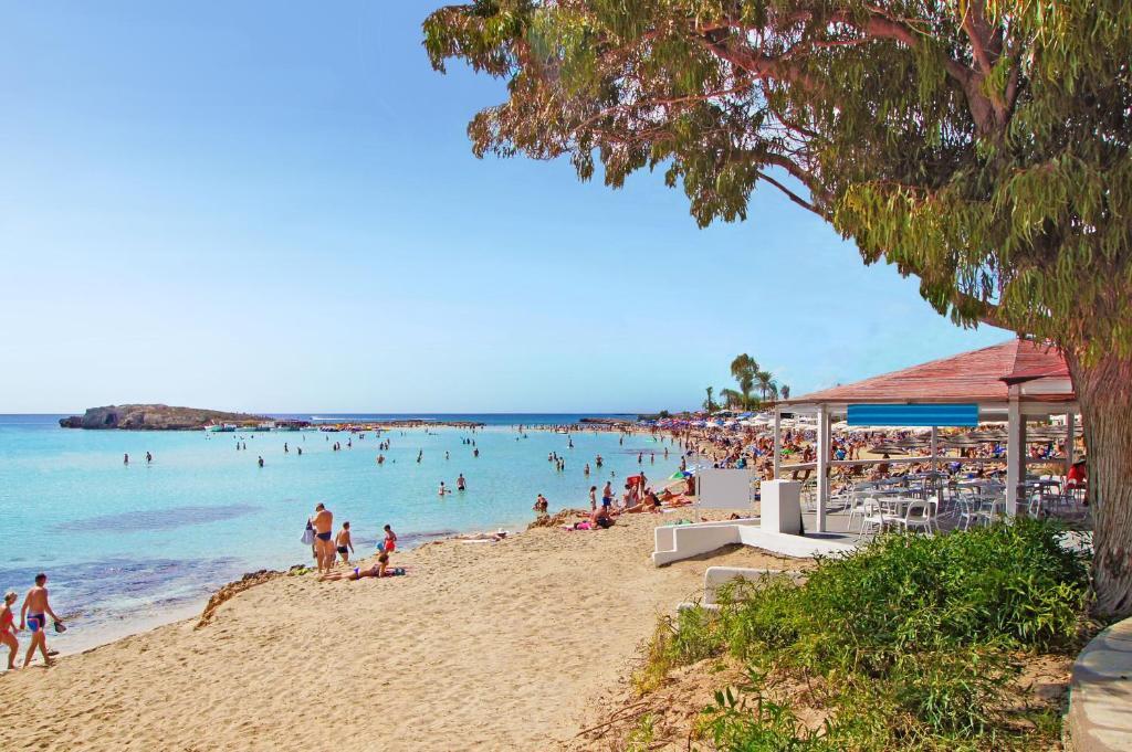 Айя-Напа: Villa Paradisia