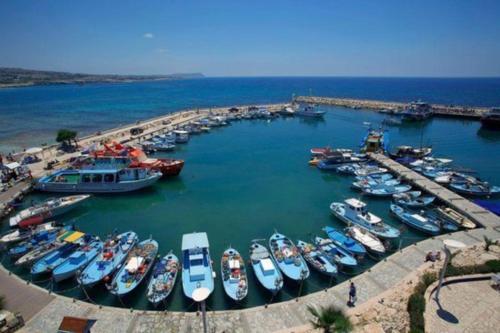 Паралимни: Rent Your Dream Holiday Villa in Paralimni And Look Forward To Relaxing Beside Your Private Pool, Paralimni Villa 1232