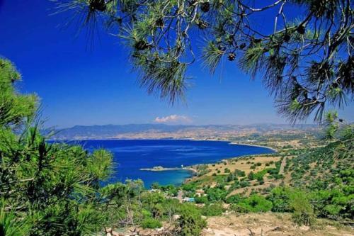 Паралимни: Rent Your Dream Holiday Villa in Paralimni And Look Forward To Relaxing Beside Your Private Pool, Paralimni Villa 1232