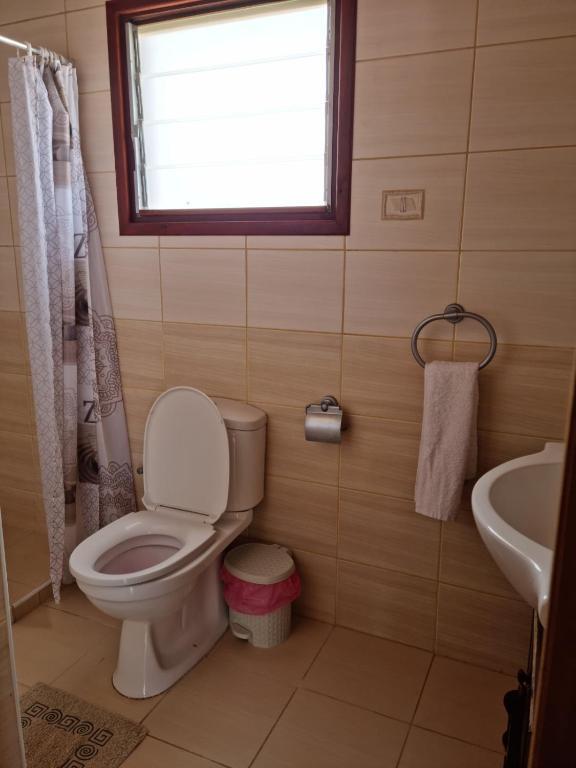 Стени: Steni Traditional Studio Apartment