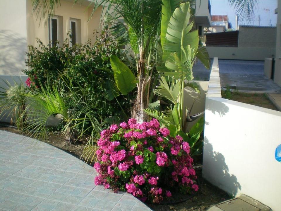 Кити: 104 Excellent 2 bed apartment with pool view, AC & gym!
