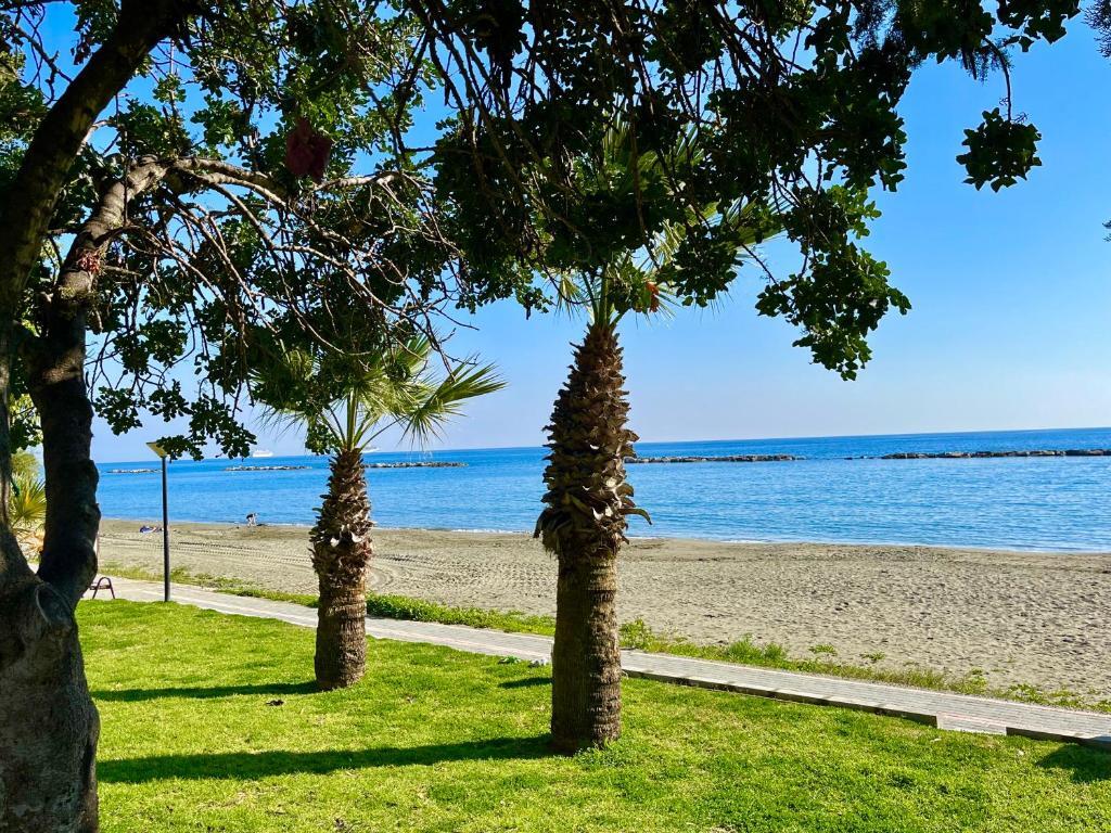 Агиос Тихонас: Dream Beachfront Bungalow