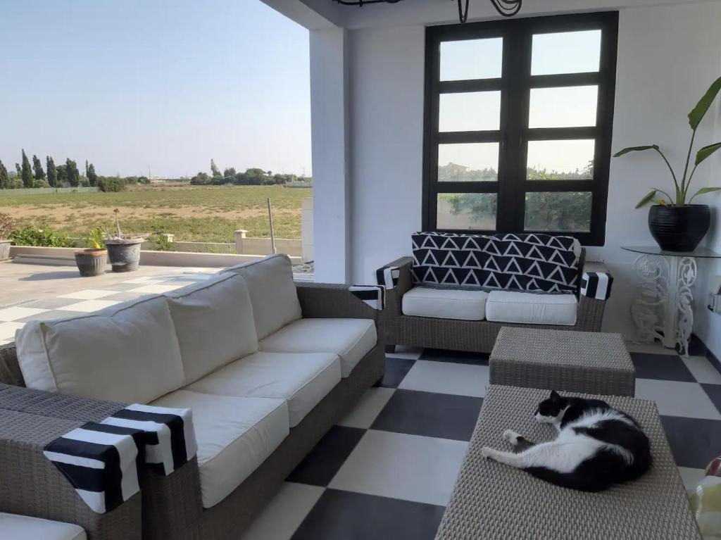 Кити: The Pervoli Studio - Pool - Close To Beach (Adults Only)