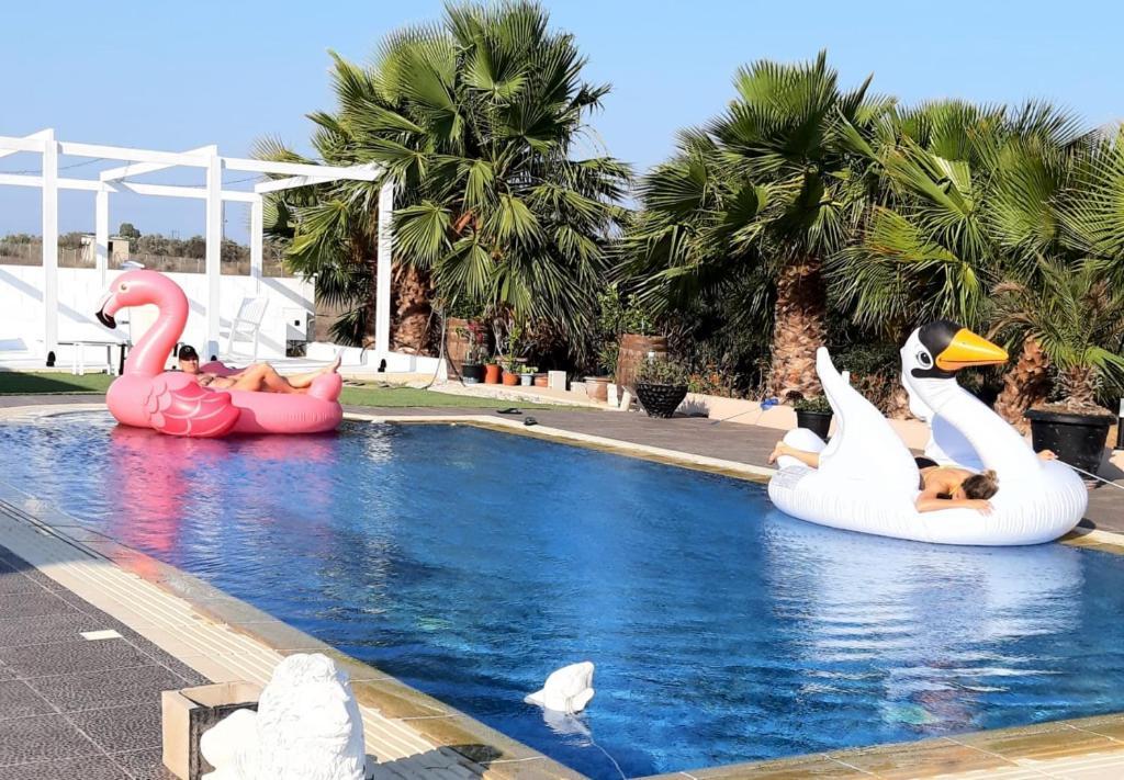 The Pervoli Studio - Pool - Close To Beach (Adults Only) — фото 4