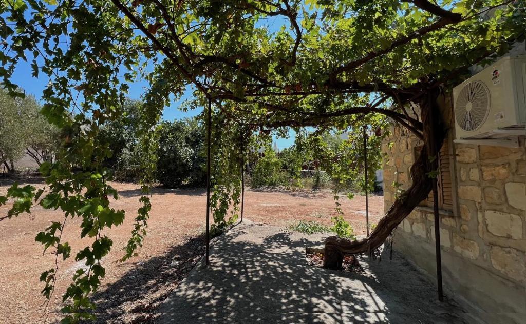 Нео Хорио: Sea-View Stone House Neo Chorio