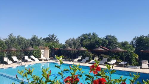 Алсанджак: Bed And Breakfast 3 Stars Lapta