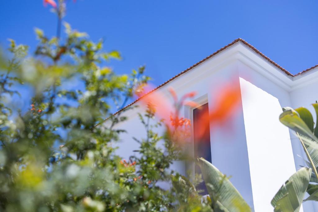 Протарас: Athena Beach Villa