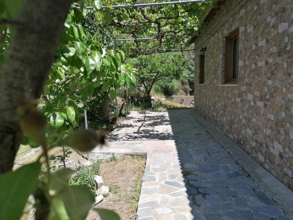 Какопетрия: House de Fountas