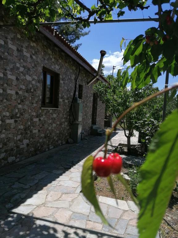 Какопетрия: House de Fountas