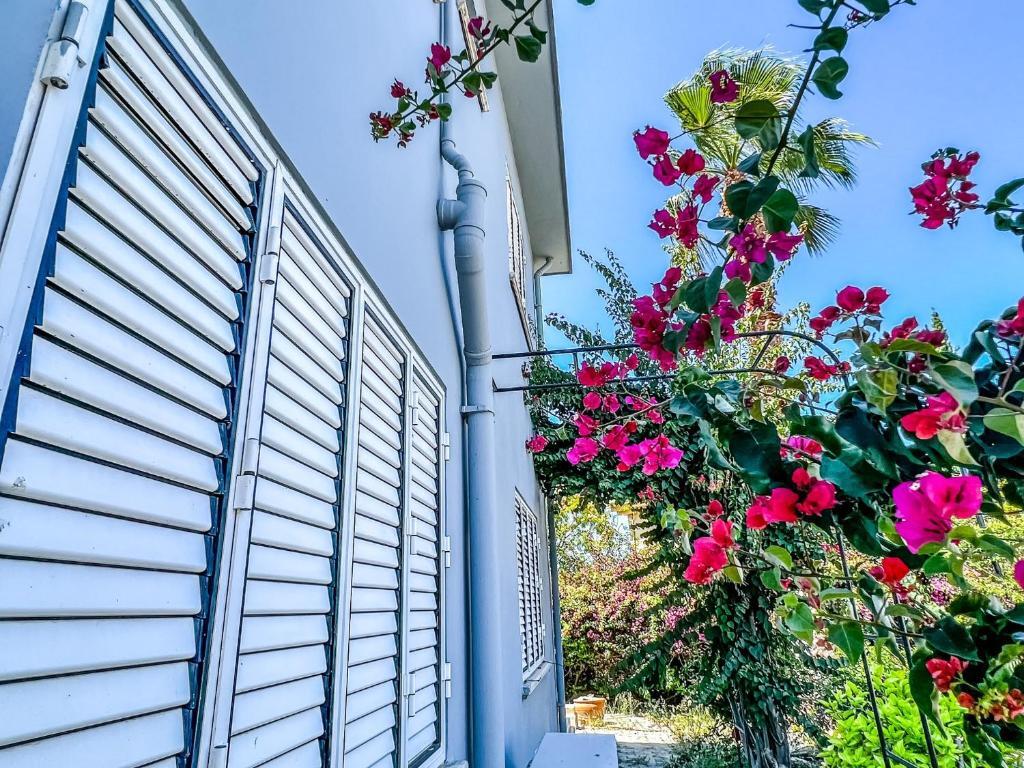Алсанджак: Fantastic Villa with Private Beach in Girne