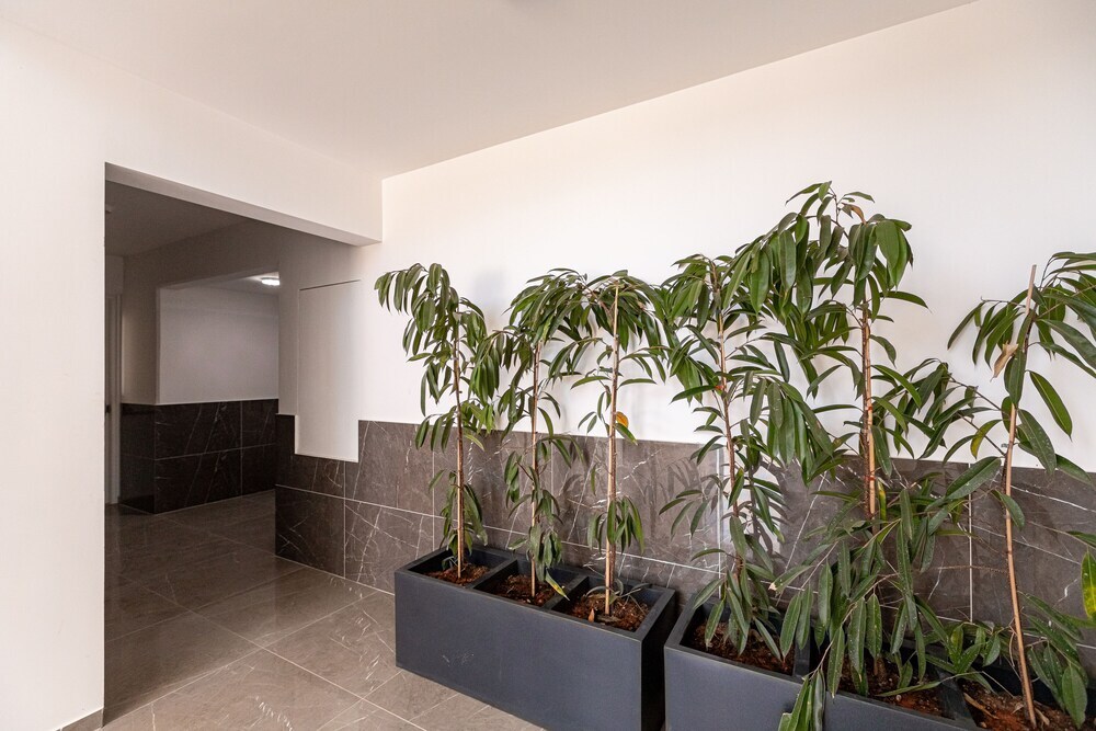 Лимассол: YAMAS Urban Living Sunny Pool Penthouse
