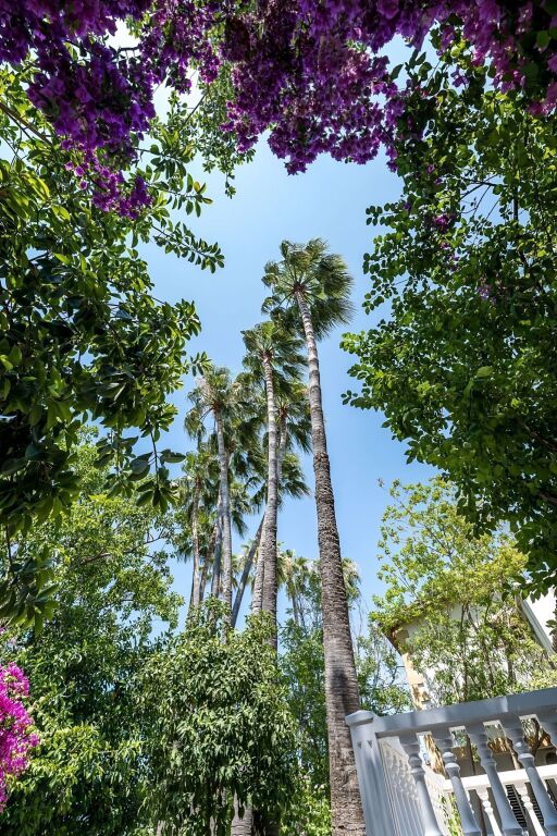 Алсанджак: Отель Riverside Garden resort