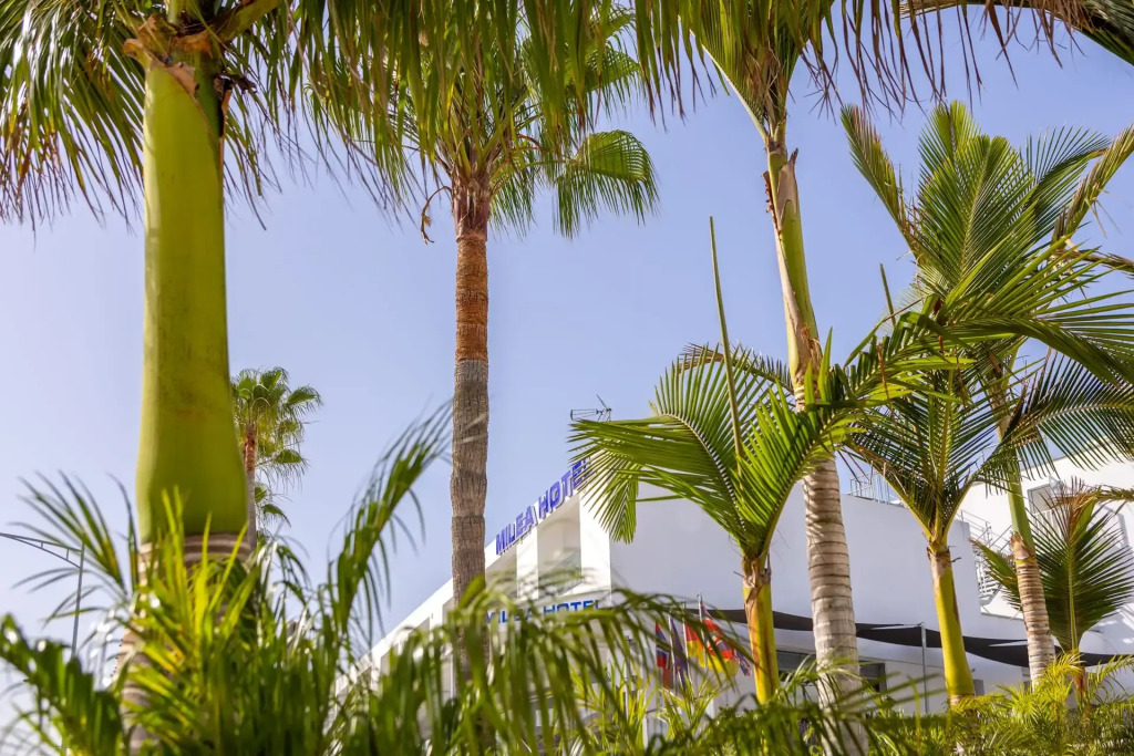Айя-Напа: Milea Hotel