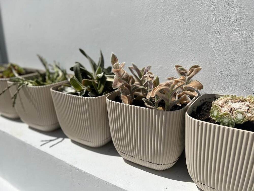 Impeccable Newly Renovated Studio in Larnaca — фото 4