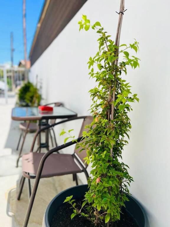 Ларнака: Impeccable Newly Renovated Studio in Larnaca