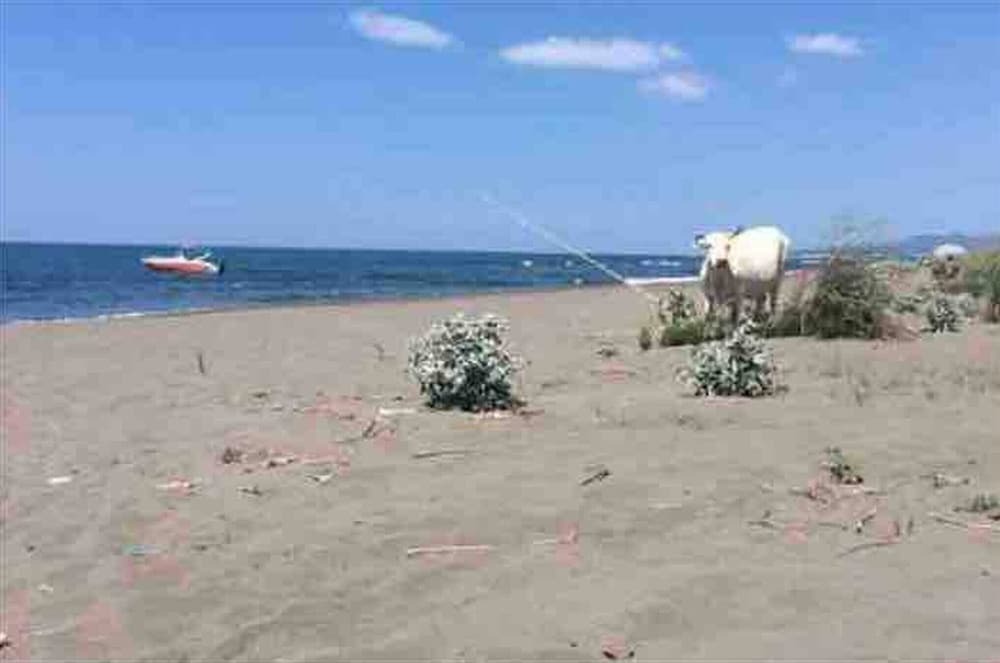 Ульцинь: Hotel Biser Ulcinj
