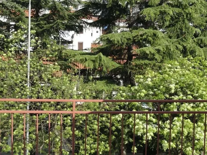 Будва: Apartman Pribilovic
