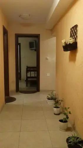 Тиват: Apartments Matea Seljanovo