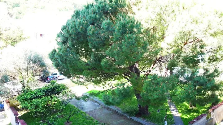 Будва: Casa Budva Apartments