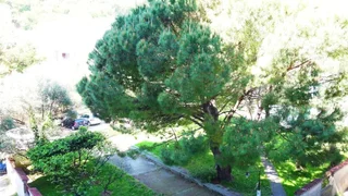 Будва: Casa Budva Apartments