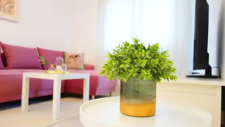 Будва: Casa Budva Apartments