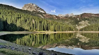 Жабляк: Отель Zlatni Bor