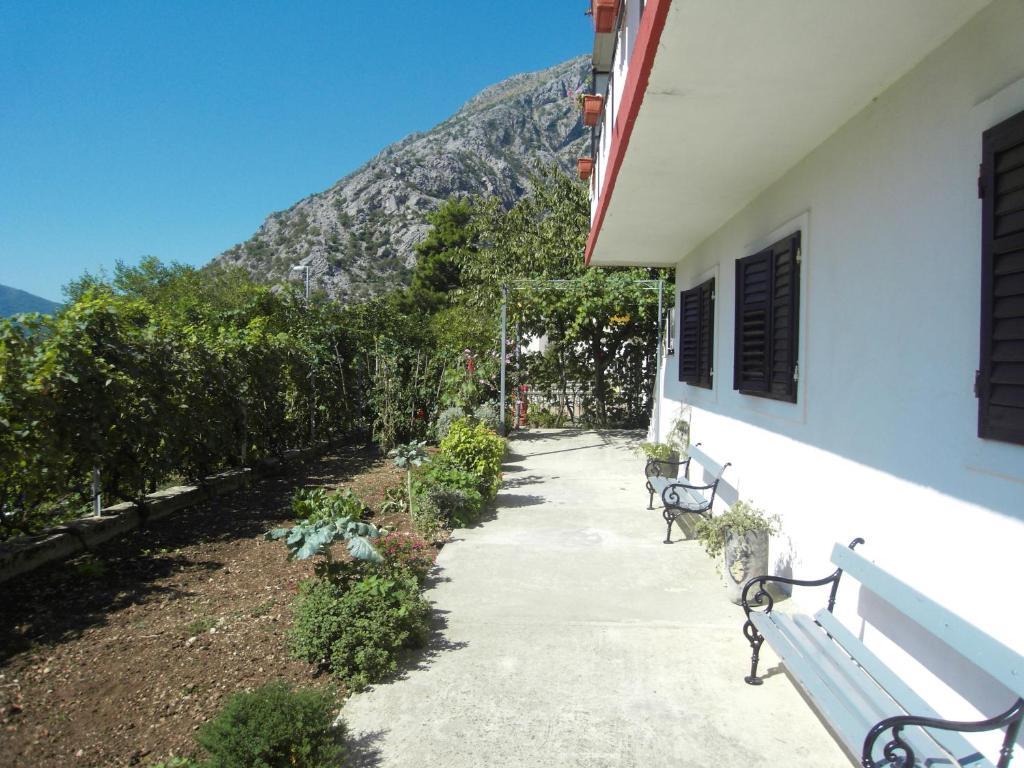Доброта: Apartment Ivana