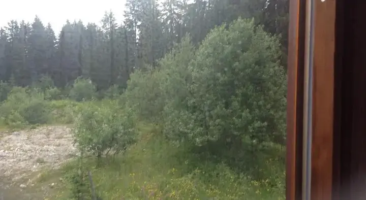 Жабляк: Guest house in Zabljak