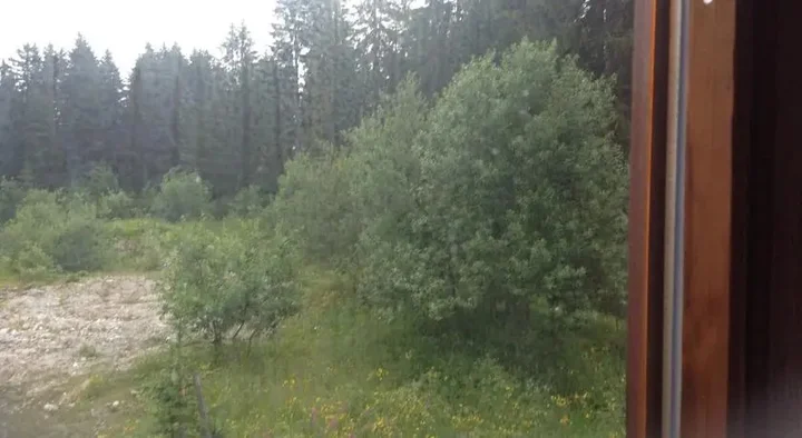 Жабляк: Guest house in Zabljak